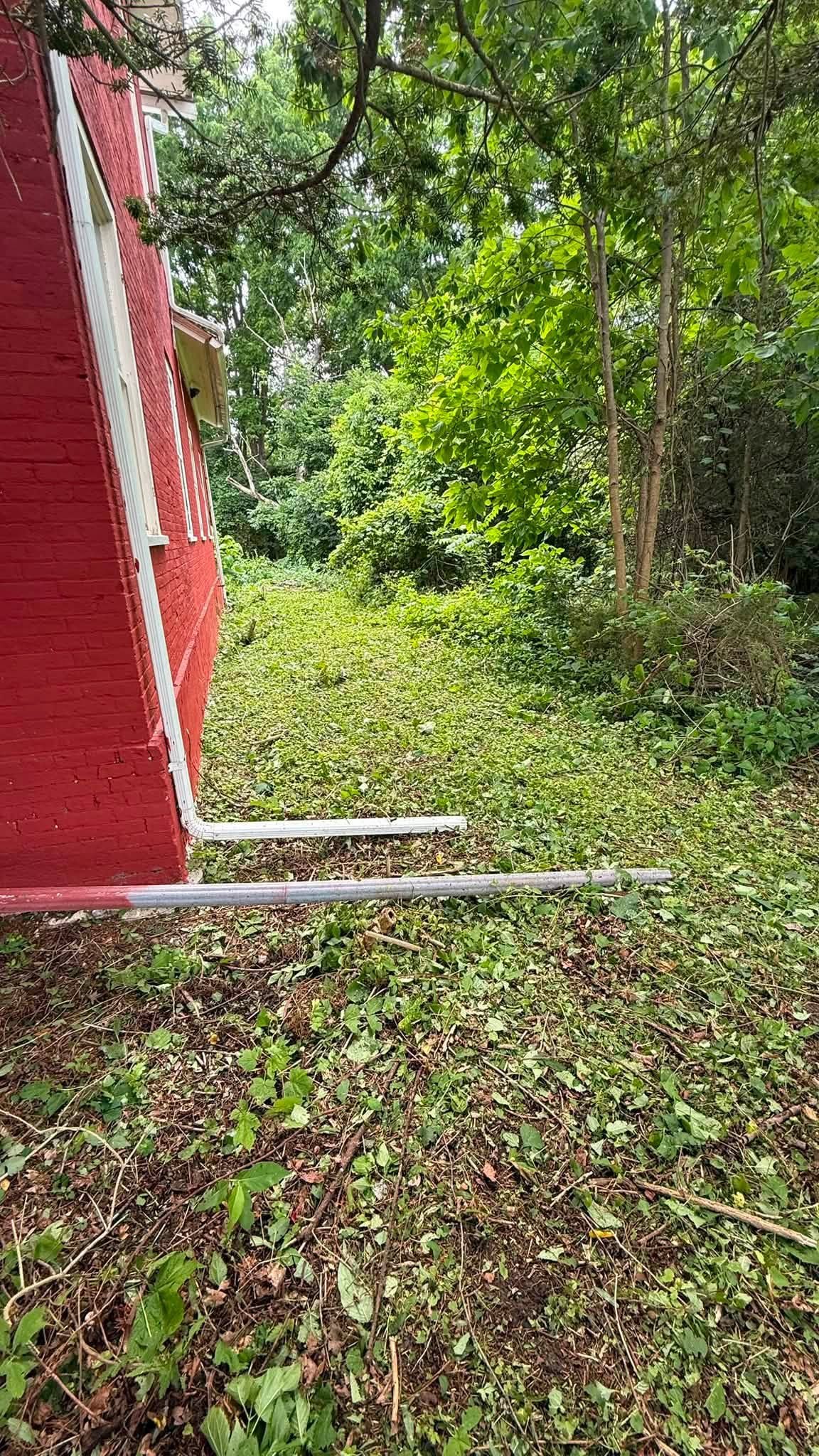 Area beside a red building after brush cleanup